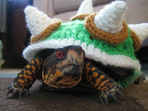 Bowser Sweater for a Turtle
